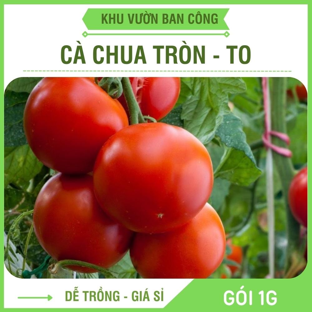 Hạt Giống Cà Chua Trái Tròn Qủa To F1 Năng Xuất Cao Gói 1G - Khu Vườn Ban Công