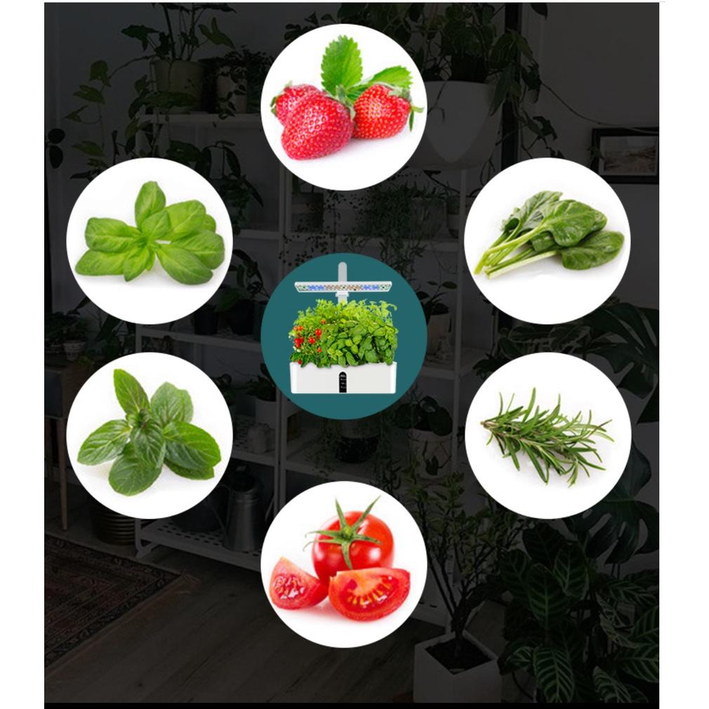 Máy Nảy Mầm Gốc Nhanh Smart Cultivation
