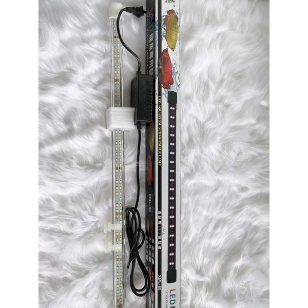 Đèn LED Cá Rồng Xuân Meilong 80cm Màu Vàng. Phụ Kiện Hồ Cá Đèn LED Cá Rồng Xuân Meilong 80cm