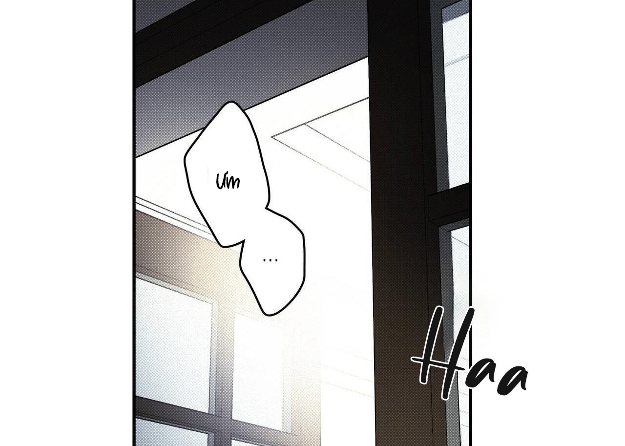 chàng giao pizza và gold palace chapter 40 143