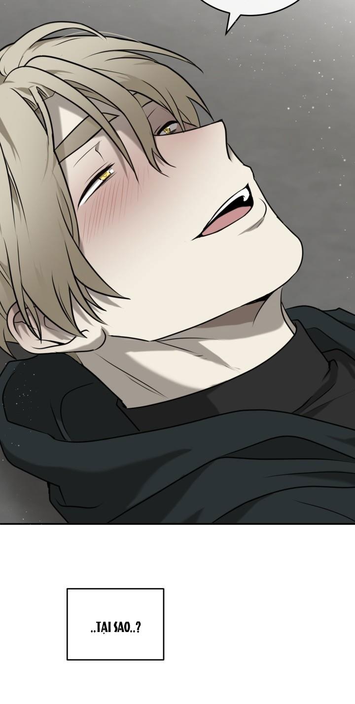 dưỡng thú cưng chapter 2 50