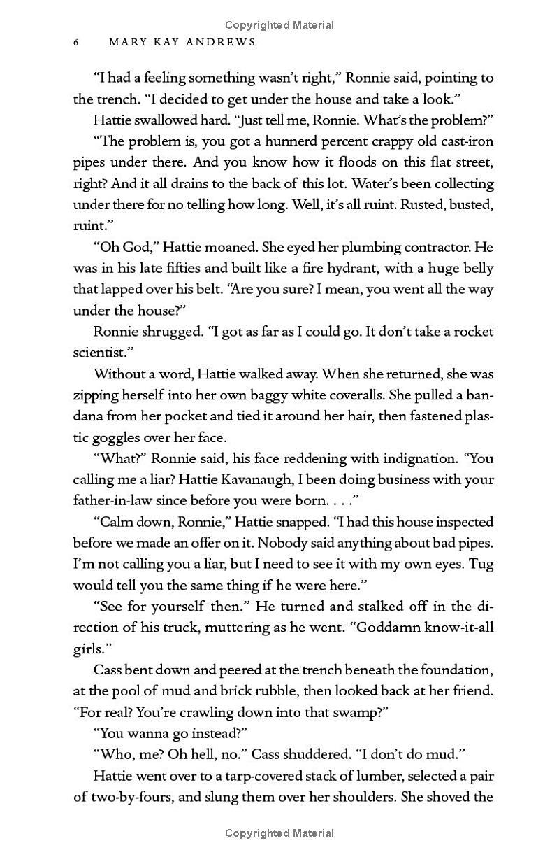 Sách ngoại văn: The Homewreckers