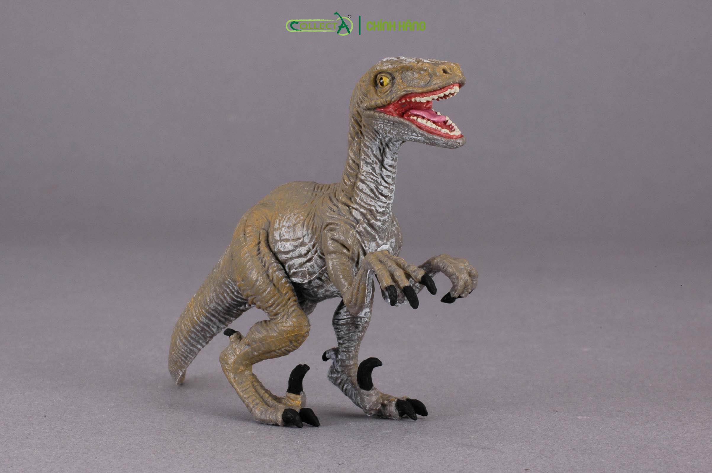 Mô hình thu nhỏ: Khủng Long Velociraptor  - Velociraptor, hiệu: CollectA, mã HS 9654180[88034] -  Chất liệu an toàn cho trẻ - Hàng chính hãng