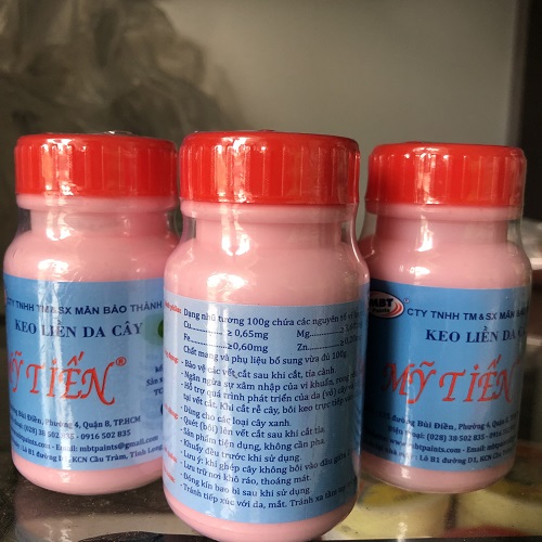 Keo Liền Da Cây MỸ TIẾN