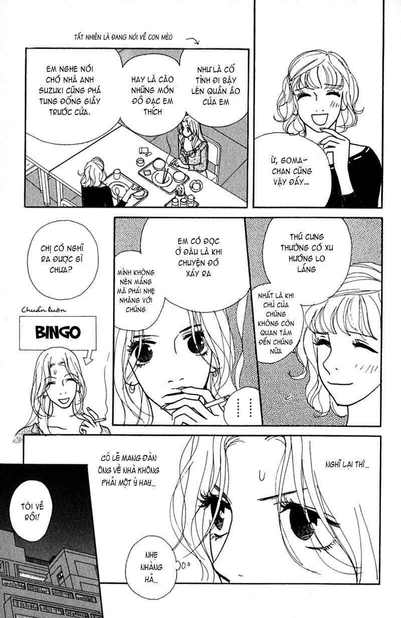 kimi wa petto chapter 2 33