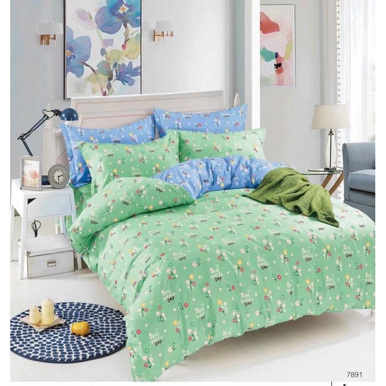 Bộ chăn drap gối Cotton 100% Hàn Quốc