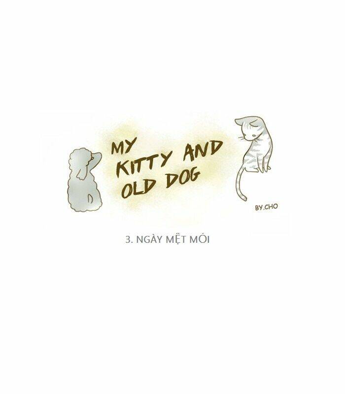 my kitty and old dog chapter 3 1