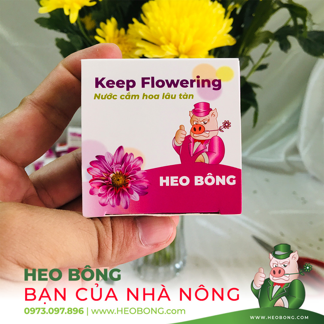 Nước Cắm Hoa Lâu Tàn Keep Flowering