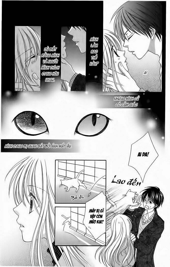 my dear cat chapter 1 7