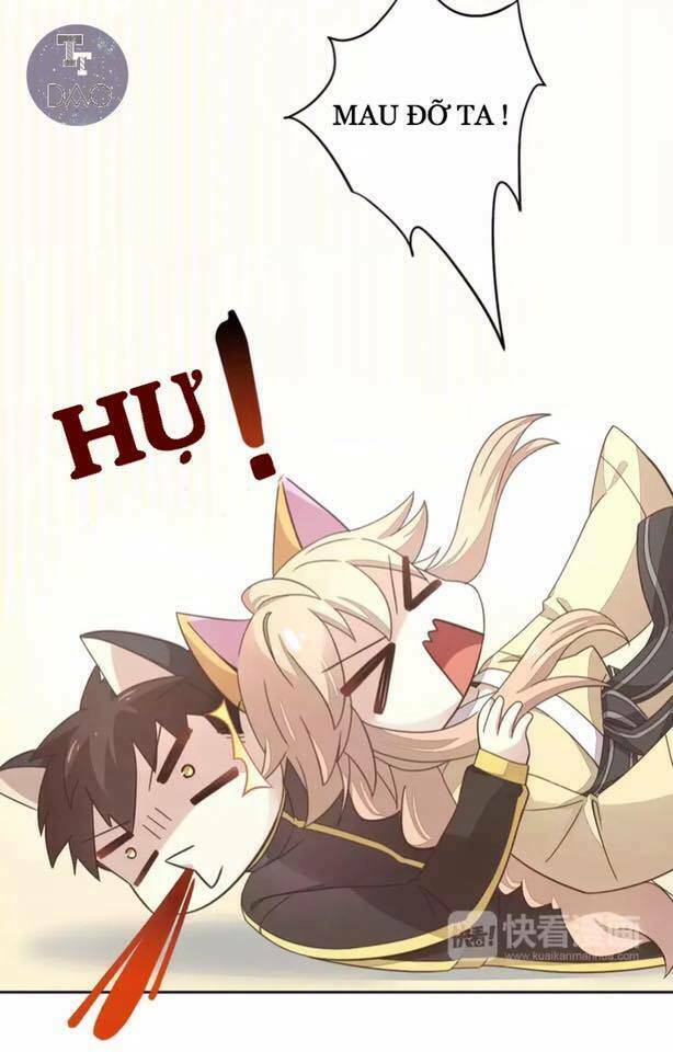 dưới móng vuốt mèo chapter 19 4
