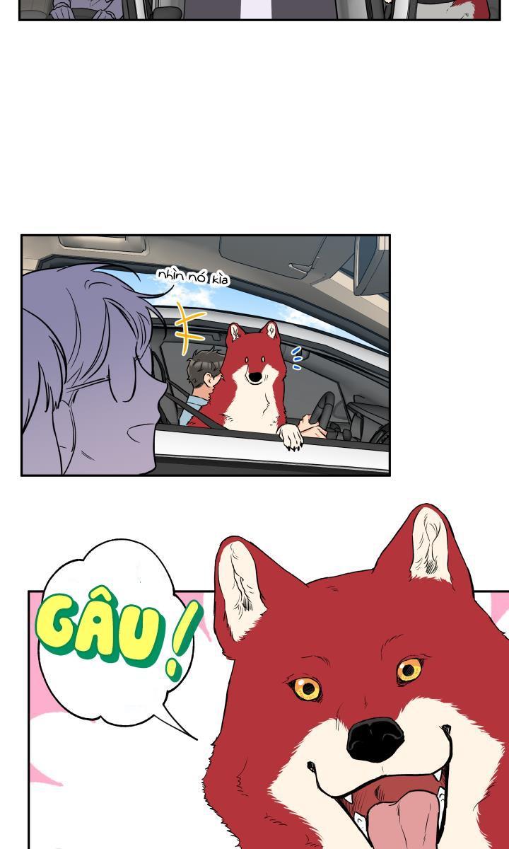 gâu gâu! chapter 33 23