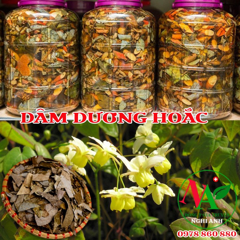 Lá Dâm Dương Hoắc 500g Loại Đẹp