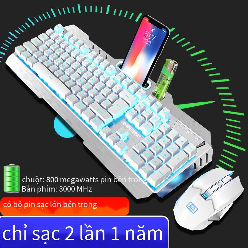 Bộ bàn phím và chuột sạc không dây Xinmeng 670 phong cách mới nhất Bộ chuột phím phát sáng chơi game ebay Amazon