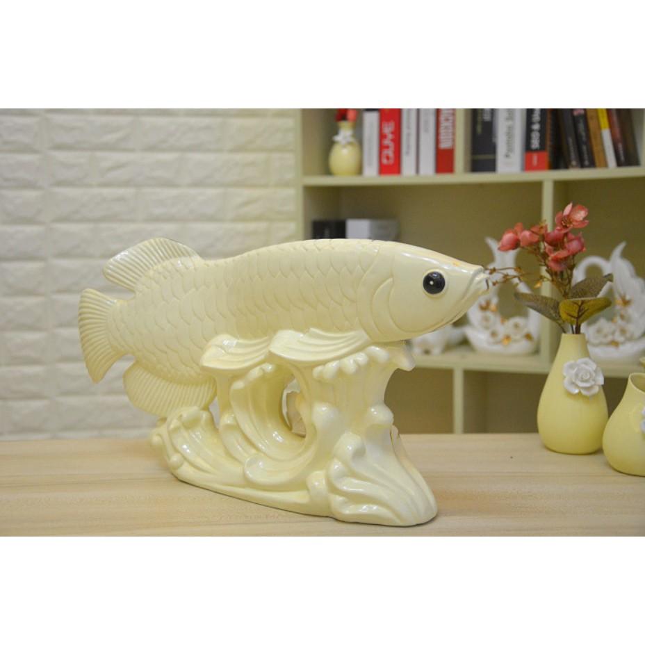 Cá rồng trang trí size lớn