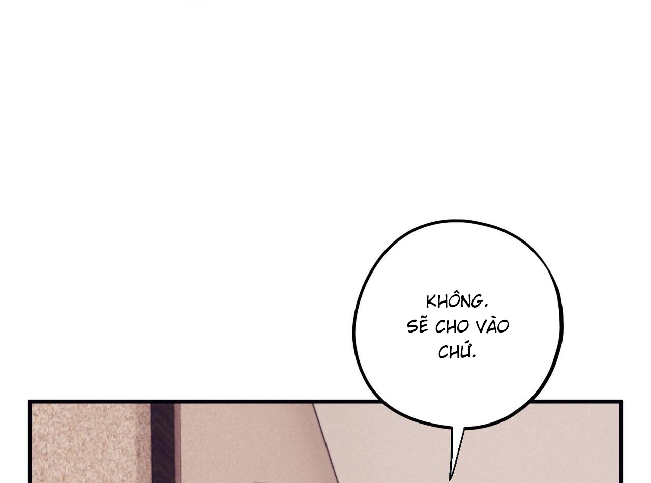 chàng dâu nhà họ kang chapter 44 30