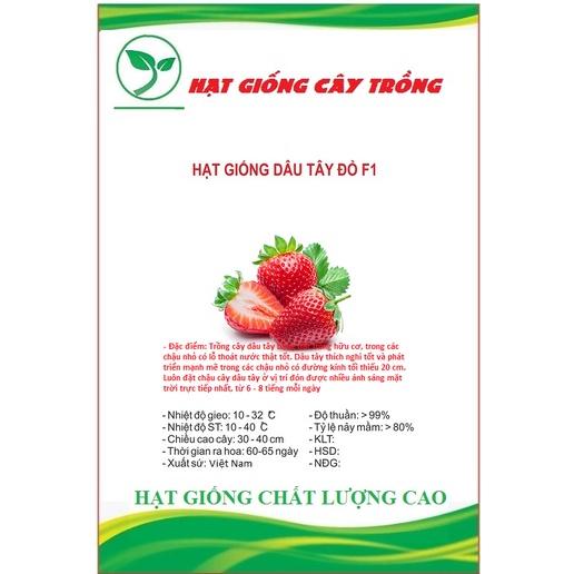 Hạt giống dâu tây đỏ chịu nhiệt CT289 - Gói 100 hạt