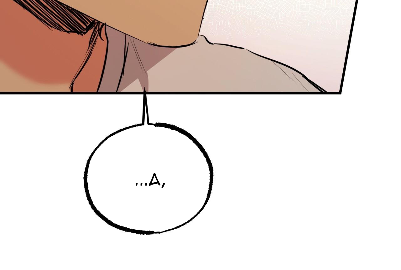 đàn thỏ của habibi chapter 35 153