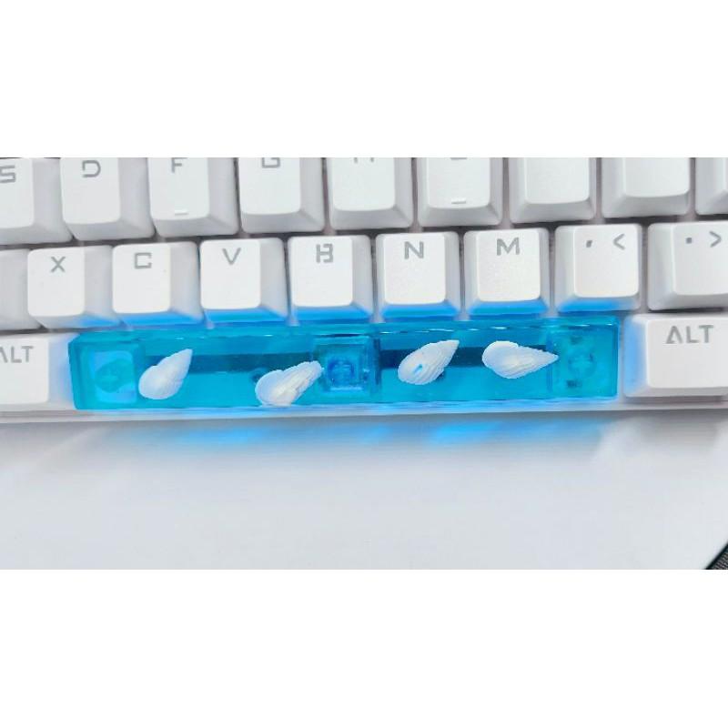 Keycap artisan thanh space bar 6.25u vỏ ốc trang trí bàn phím cơ gaming.