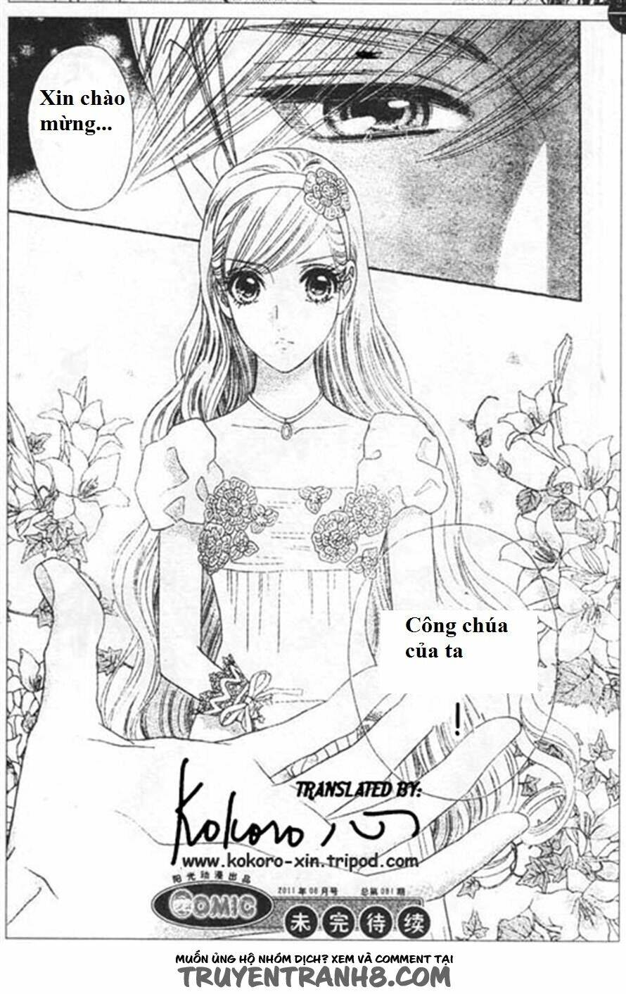 hoa hồng đỏ chapter 46 26