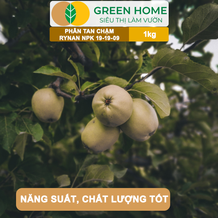 Phân Tan Chậm GreenHome, Rynan NPK 19-19-09, Túi 1kg, Giúp Cây Ăn Trái Phát Triển Mạnh, Chất Lượng