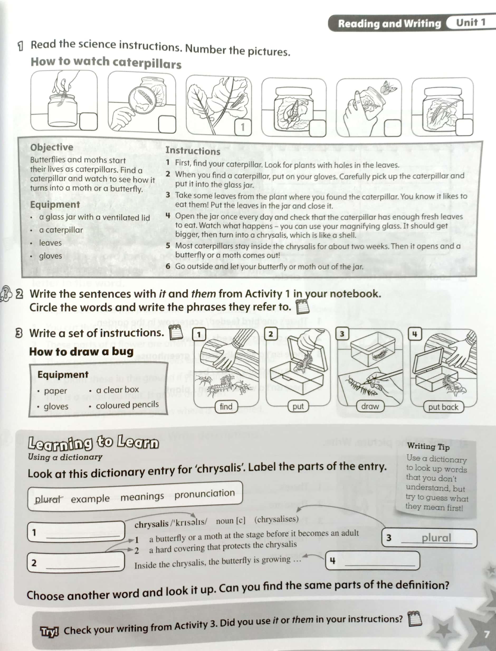 Starlight: Level 5: Workbook