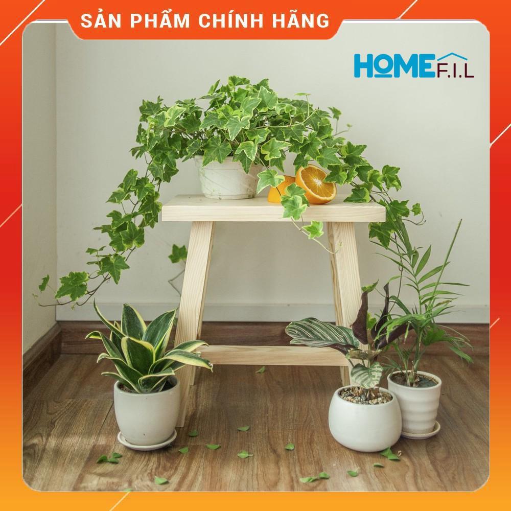 Ghế Đôn Gỗ Thông, Ghế Trang Trí Gỗ Chất lượng Xuất Khẩu