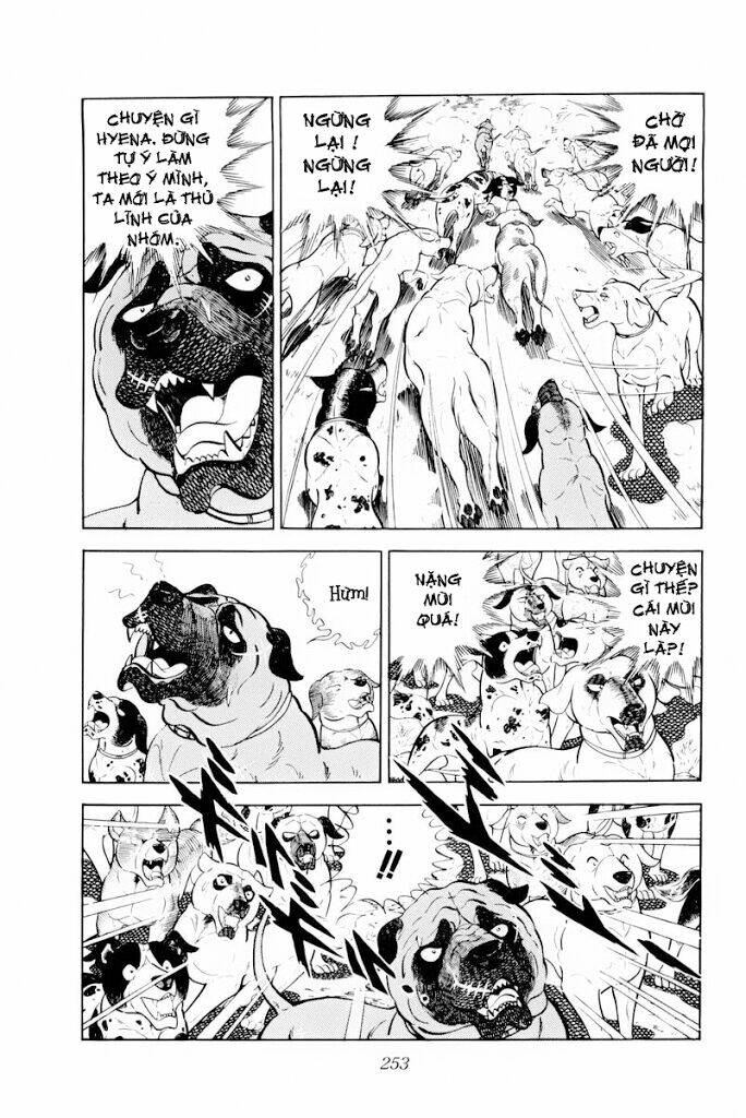 chú chó có nghĩa - ginga nagareboshi gin chapter 30 11