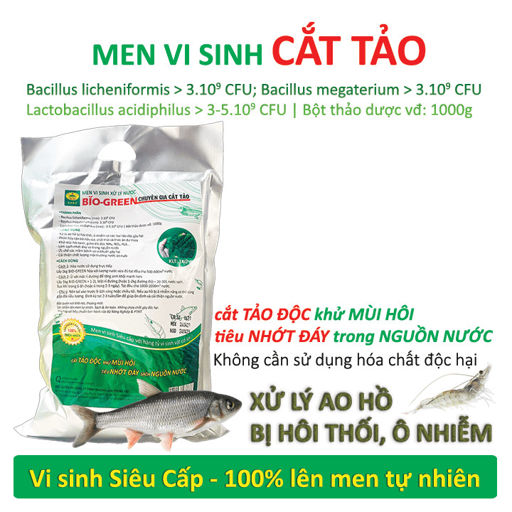 BIO-GREEN vi sinh xử lý nước ao hồ nuôi Cá Tôm bị ô nhiễm hoi thối. Cắt tảo xanh, tiêu nhớt đáy. Phân hủy cặn bã dư thừa làm trong sạch nguồn nước 