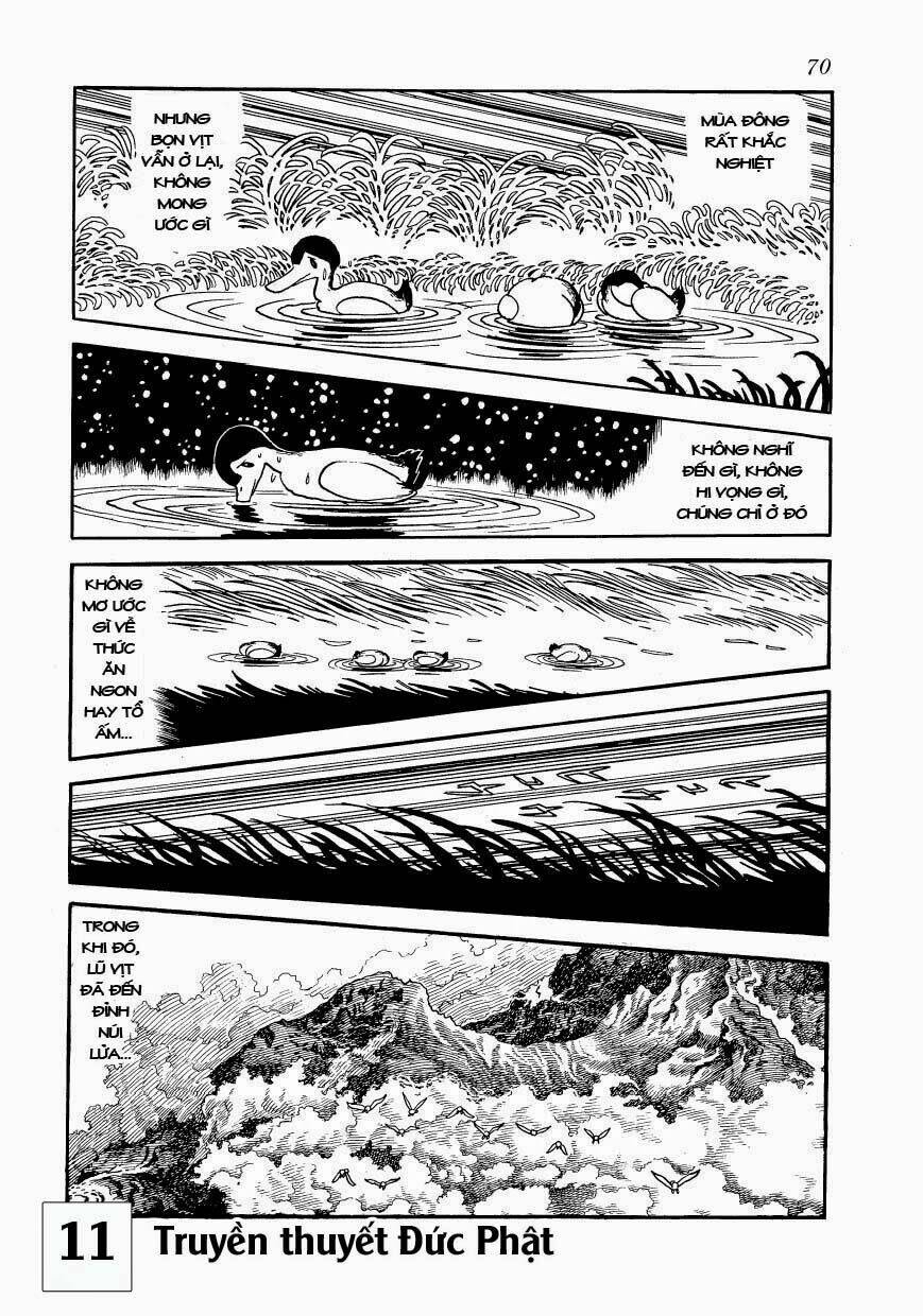 buddha - truyền thuyết đức phật chapter 51 5