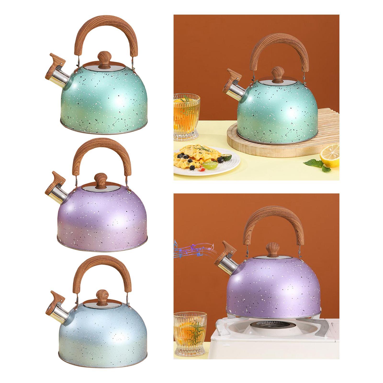 3L Whistle tea Kettle for Top for Boiling water
