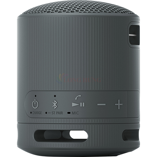 Loa Bluetooth Sony SRS-XB100 - Hàng chính hãng