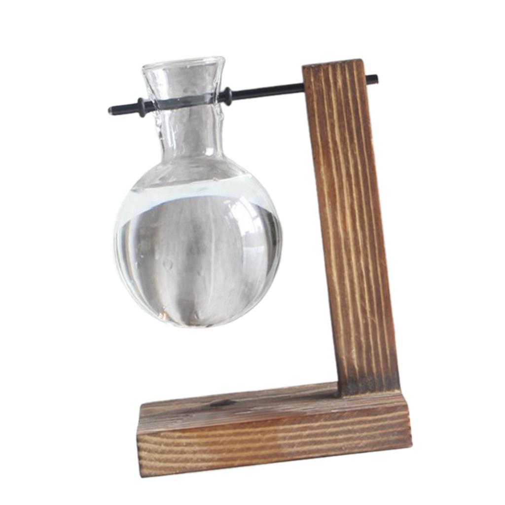 Set Ống Nghiệm Kèm Giá Đỡ Dùng Trồng Cây Thủy Canh Độc Đáo