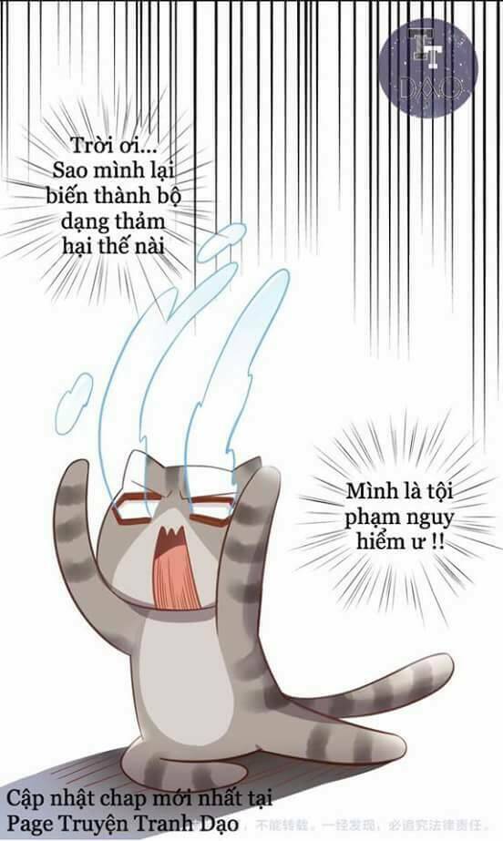 dưới móng vuốt mèo chapter 2 43