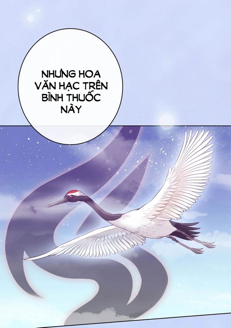 mỹ nhân già rồi chapter 64 33