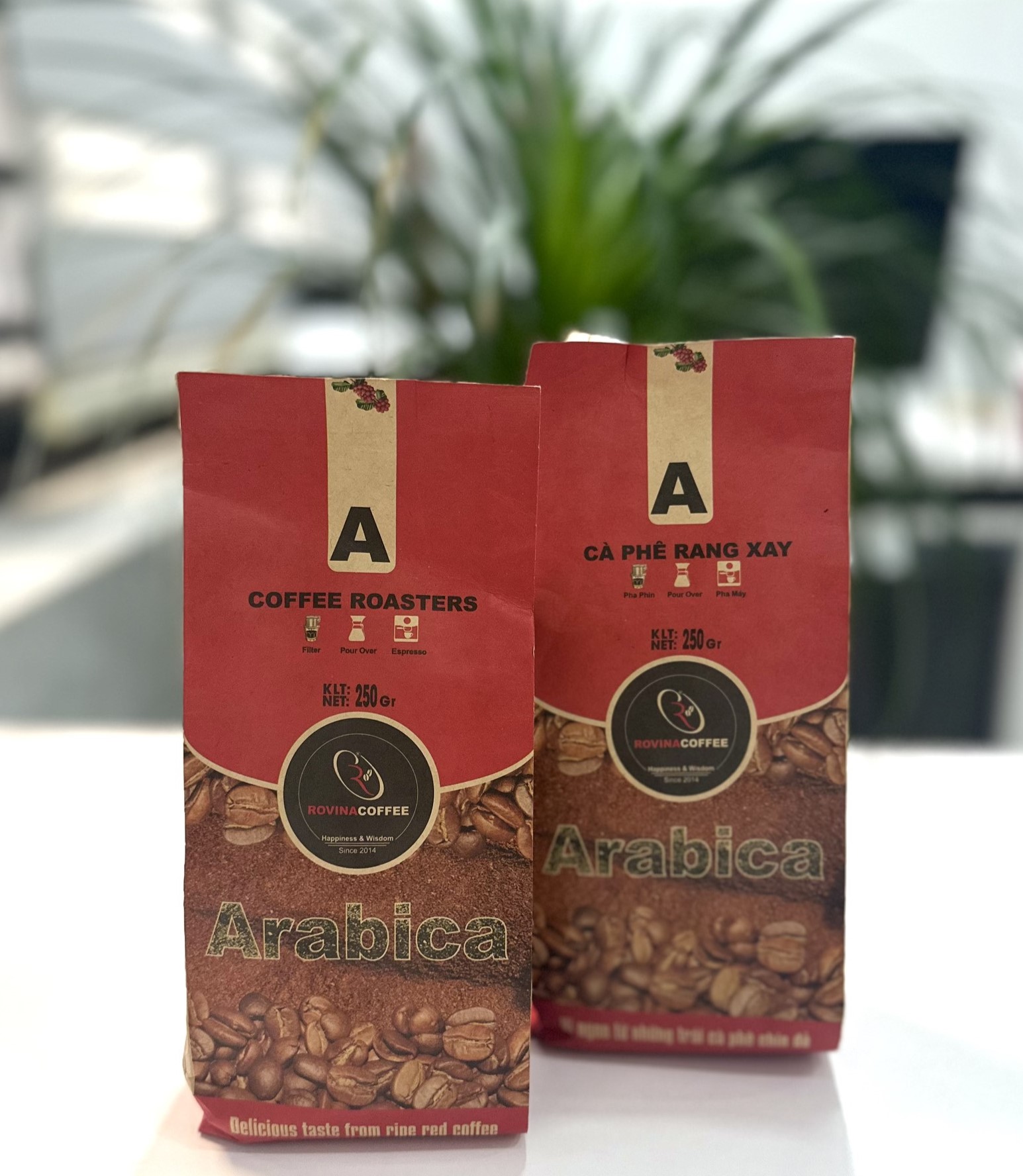 Cà Phê Arabica Cầu Đất - Pha Máy - Gói 250gr Nguyên Hạt Hương Vị Đậm Đà Cân Bằng Hoàn Hảo Rovina Coffee