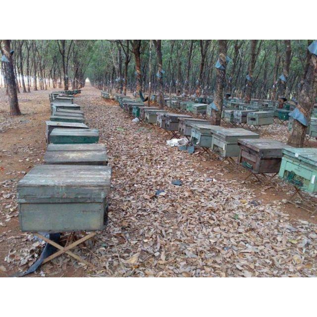 Phấn Hoa Cà Phê Nguyên Chất