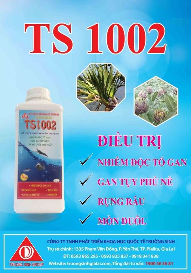 TS 1002 - Điều trị nhiễm độc tố gan, gan thận phù nề, hoại tử gan