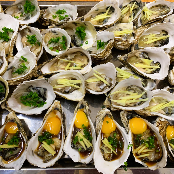 Hàu Sữa Pháp Sống