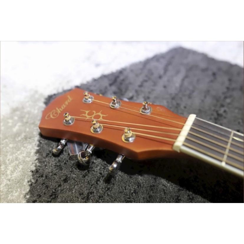 Đàn Guitar Acoustic Chard EB16S