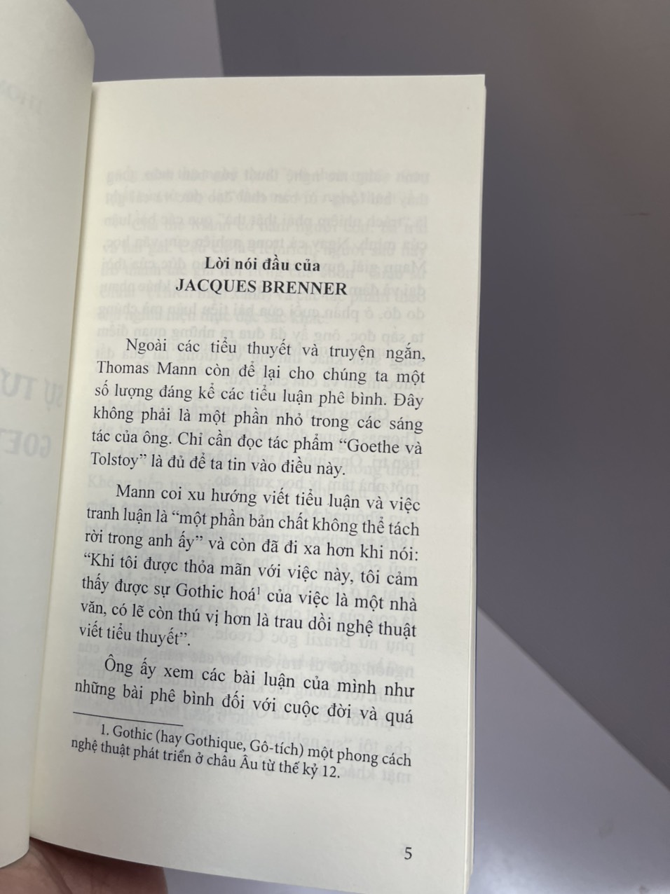 SỰ TƯƠNG ĐỒNG GIỮA GOETHE VÀ TOLSTOY - Thomas Mann – Trương Công Thành dịch – NXB Thanh Niên