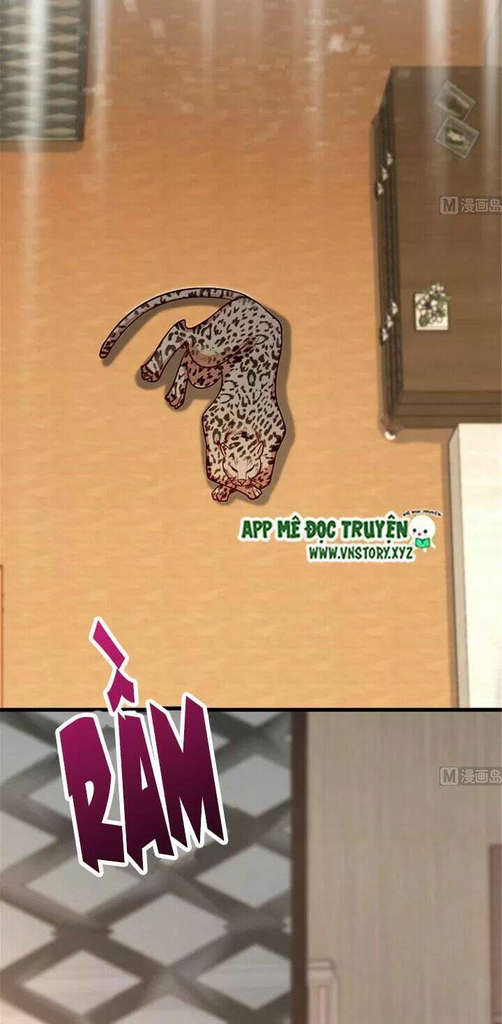 thiên hậu trở về chapter 186 20