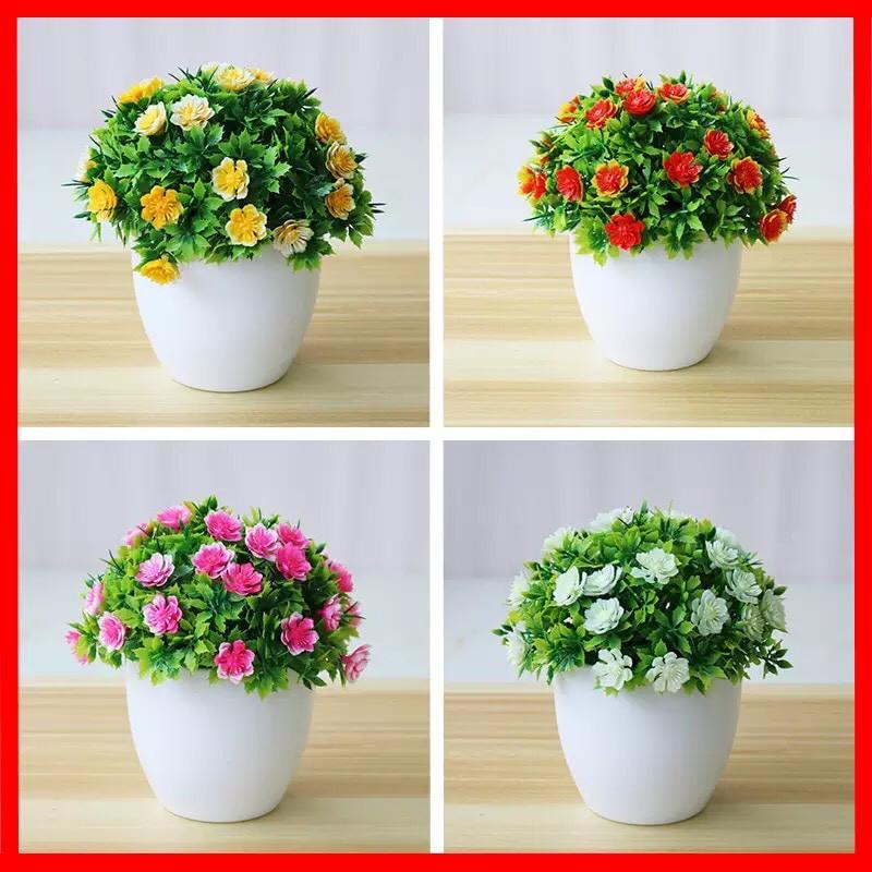 Chậu cây cảnh mini để bàn làm việc kích thước 15x14cm