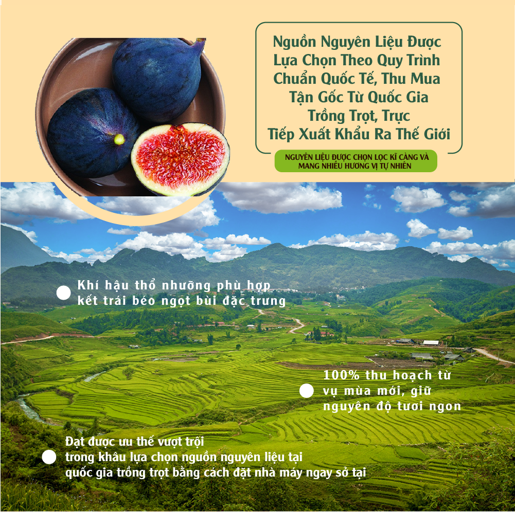 Quả sung khô 135g Dan D Pak