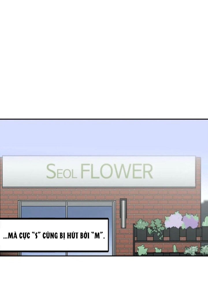 s flower chapter 91.1 8