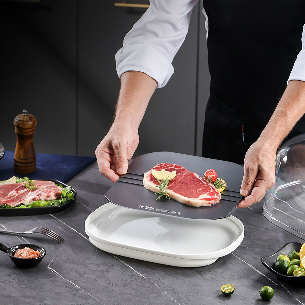 Khay rã đông cấp tốc 360 Kayuso JY210801 Công Nghệ Ion An Toàn Cho Thực Phẩm Defrosting Tray for Froze