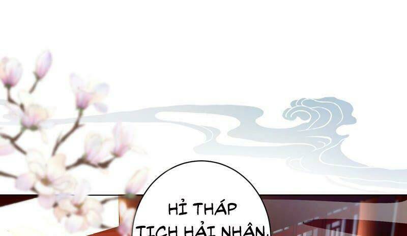 quận chúa vững vàng, thiết lập nhân vật không thể vỡ chapter 40 46