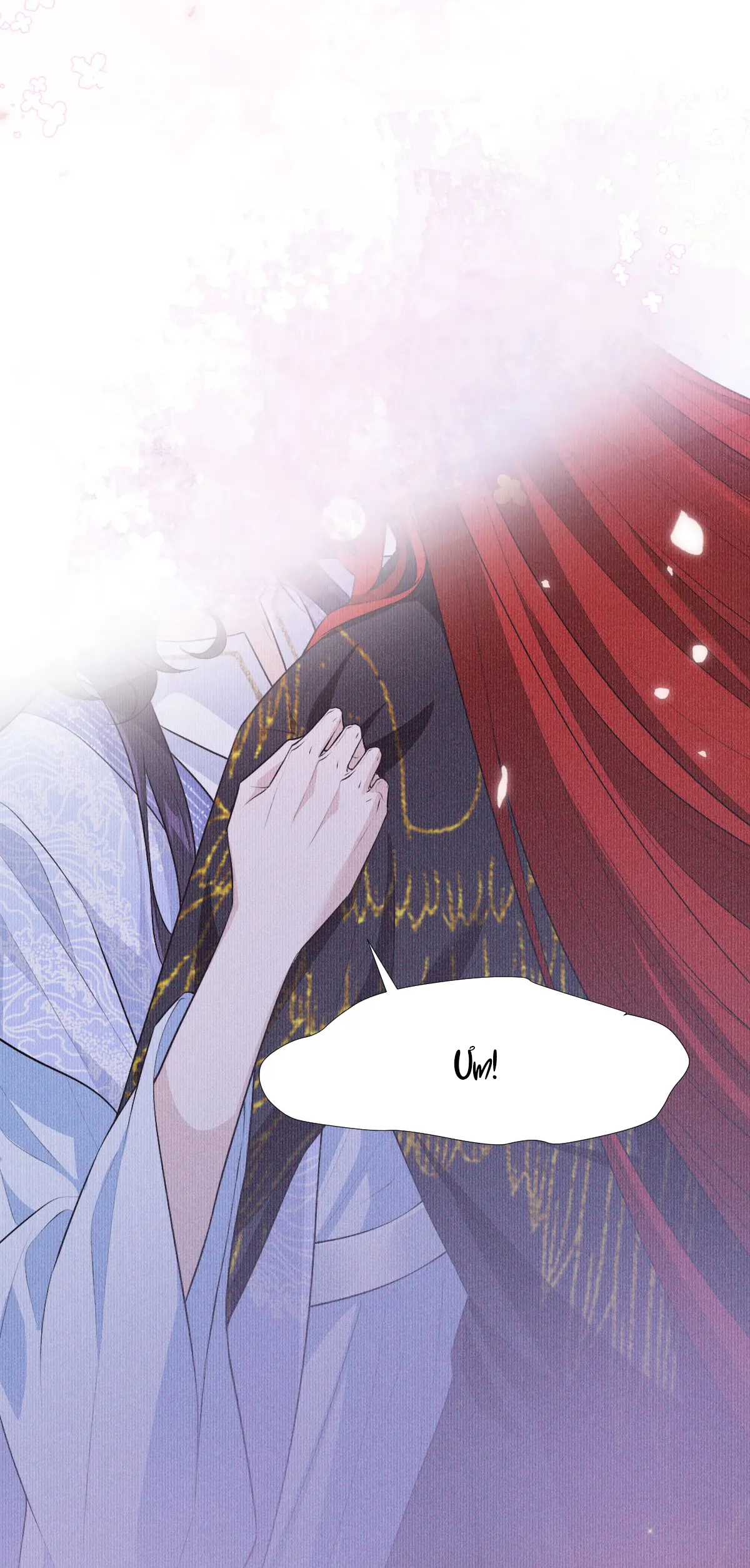 Đế Quân Có Hỷ chapter 7.1 - Trang 20