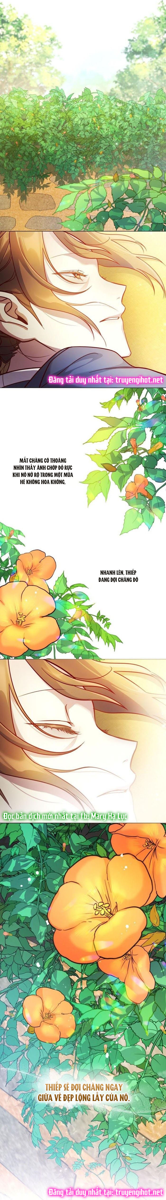 đăng tiêu hoa chapter 26 23