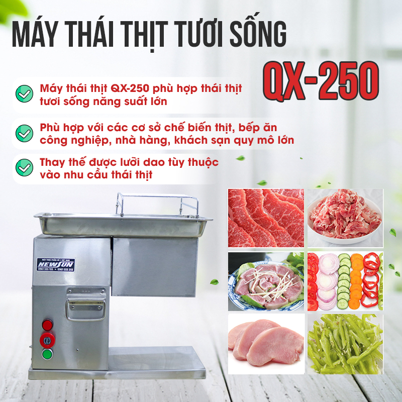 Máy Cắt, Thái Thịt QX 250 NEWSUN, Công Suất 750W, Thái Thịt Nhanh, Đa Năng - Hàng Chính Hãng