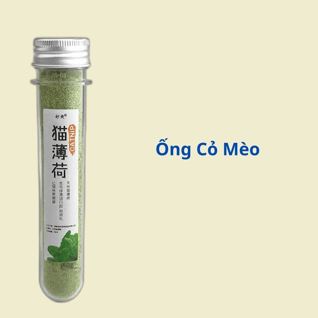 Cỏ mèo bạc hà dán tường Catnip cho mèo giúp mèo giảm stress, đồ chơi cho mèo